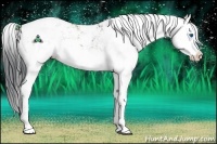Horse Color:Grullo Sabino Splash