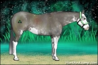 Horse Color:Grullo Sabino Splash Rabicano 