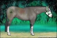 Horse Color:Grullo Sabino 