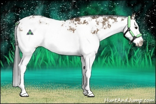 Horse Color:Brown Dun Sabino Splash Rabicano 