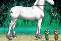 Horse Color:Brown Dun Sabino Splash Rabicano 