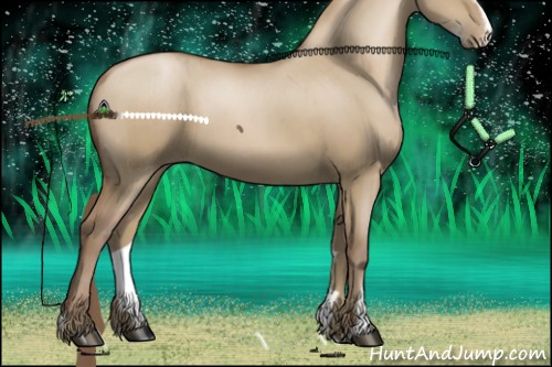 Horse Color:Grullo Pearl Sabino