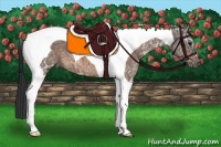 Horse Color:Buckskin Ice Tobiano 
