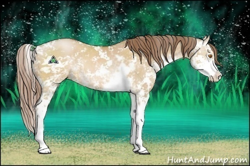 Horse Color:Brown Pearl Dun Sabino