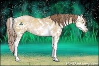 Horse Color:Brown Pearl Dun Sabino 