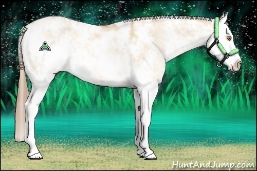 Horse Color:Brown Pearl Dun Sabino Splash 