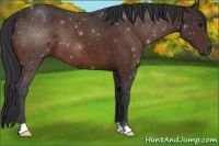 Horse Color:Brown 
