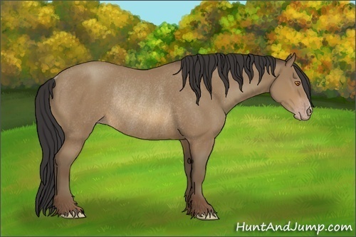 Horse Color:Sable Champagne Rabicano 