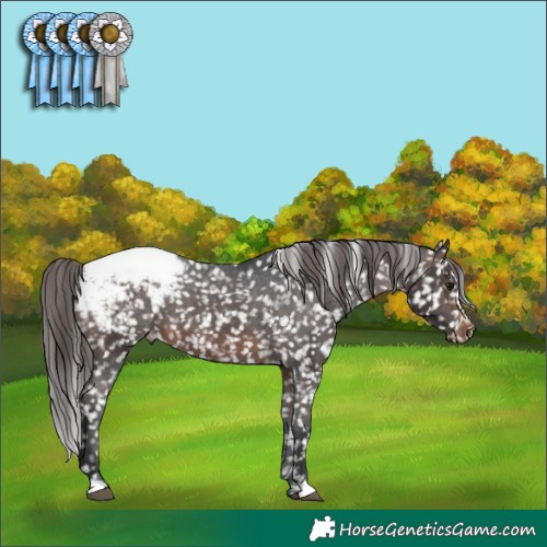 Horse Color:Brown Snowcap