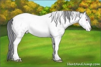 Horse Color:Amber Champagne Chinchilla Onyx Tobiano Near Leopard Brindle