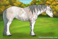 Horse Color:Watercolor Grullo Pearl Sabino