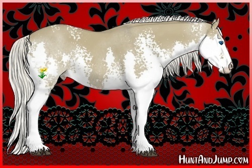 Horse Color:White Spotted Silver Smoky Grullo Splash Rabicano 
