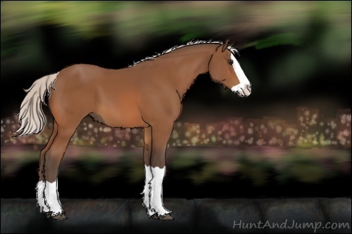 Horse Color:Silver Bay Splash 