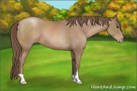Horse Color:Black Pearl