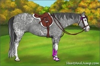 Horse Color:Blue Ice Roan Splash 