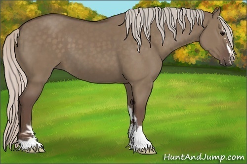 Horse Color:Silver Grullo Sabino