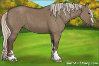 Horse Color:Silver Grullo Sabino 