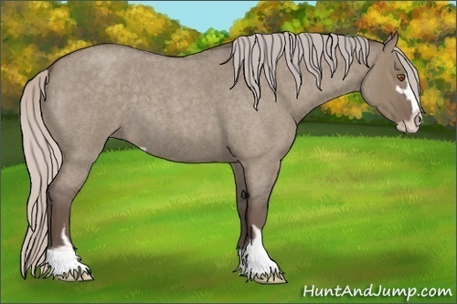 Horse Color:Silver Grullo Roan Sabino