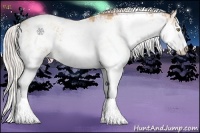 Horse Color:Silver Amber Champagne Sabino 