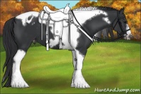 Horse Color:Black Tobiano Frame Varnish 