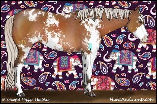 Horse Color:Silver Bay Sabino Appaloosa 