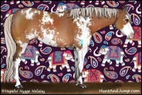 Horse Color:Silver Bay Sabino Appaloosa 