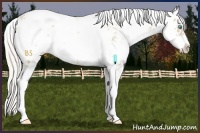 Horse Color:Silver Smoky Black Pearl Sabino Rabicano 