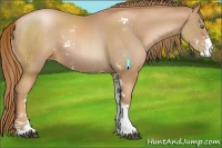 Horse Color:Chestnut Pearl Sabino 