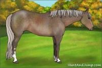 Horse Color:Silver Black Sabino 