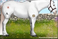 Horse Color:White Spotted Red Onyx Splash 