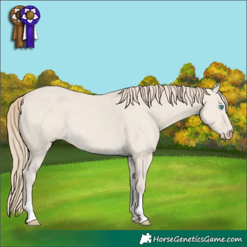 Horse Color:Smoky Creme Dun