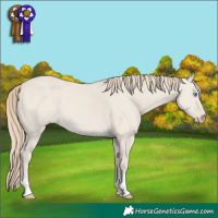 Horse Color:Smoky Creme Dun