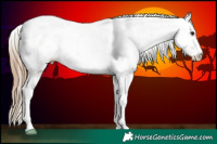 Horse Color:Black Pearl Sabino