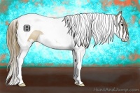 Horse Color:Black Pearl Splash Tobiano 