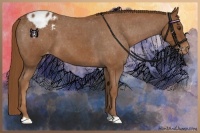 Horse Color:Red Roan Appaloosa 