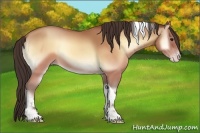 Horse Color:Sable Champagne Onyx Tobiano 