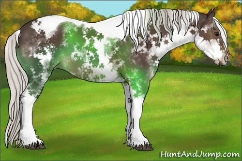 Horse Color:White Spotted Silver Brown Tobiano