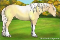 Horse Color:Silver Sable Cream Champagne Tobiano Appaloosa