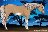 Horse Color:Silver Bay Dun Sabino Tobiano Frame Rabicano
