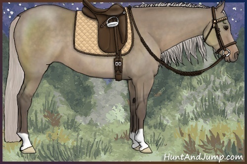 Horse Color:Silver Grullo
