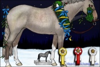 Horse Color:Silver Grullo Roan 