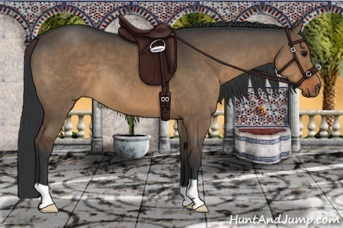 Horse Color:Brown Dun