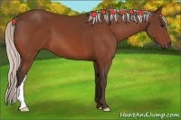 Horse Color:Silver Bay 