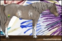 Horse Color:White Spotted Chocolate Palomino Roan 