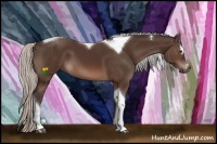 Horse Color:Silver Brown Sabino Tobiano