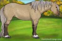 Horse Color:Silver Brown Dun Rabicano 
