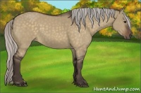 Horse Color:Silver Brown Dun 