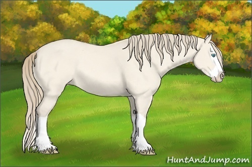 Horse Color:Perlino Dun Splash