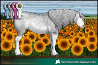Horse Color:Silver Bay Chinchilla Dun Splash 