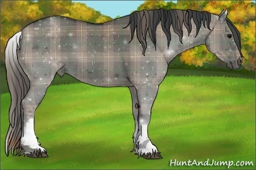 Horse Color:Plaid White Spotted Grullo Sabino Rabicano